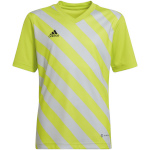 Adidas Teamwear T-särk lastele Entrada 22 Graphic Jersey kollane-hall HF0133 116cm