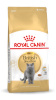 Royal Canin kuivtoit kassile British Shorthair Adult Cats Dry Food 4kg