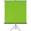 Hama roheline taust Screen Background with Tripod 180x180cm 2in1