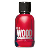 Dsquared2 naiste parfüüm Red Wood EDT 100ml