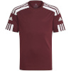 Adidas Teamwear T-särk lastele Squadra 21 Jersey Youth bordoopunane GN8090 152cm