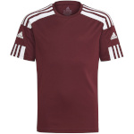 Adidas Teamwear T-särk lastele Squadra 21 Jersey Youth bordoopunane GN8090 152cm