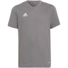 Adidas Teamwear T-särk lastele Entrada 22 Tee hall HC0444 116cm