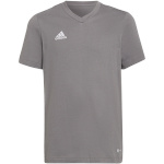 Adidas Teamwear T-särk lastele Entrada 22 Tee hall HC0444 116cm