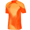 Nike Team T-särk meestele Dri-Fit Adv Gardien IV GK oranž Jsyss DH7760 819 suurus S