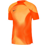 Nike Team T-särk meestele Dri-Fit Adv Gardien IV GK oranž Jsyss DH7760 819 suurus 2XL