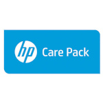 Hp Ecarepack 1year Pw Nbd Tft