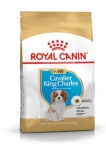 Royal Canin kuivtoit koerale Cavalier King Charles Puppy 1,5kg