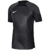 Nike Team T-särk meestele Dri-Fit Adv Gardien IV GK Jsyss must DH7760 060 suurus S