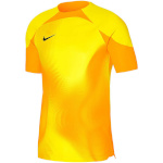 Nike Team T-särk meestele Dri-Fit Adv Gardien IV GK Jsyss kollane DH7760 719 suurus S