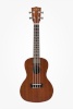 Kala ukulele KA-C Mahogany Concert