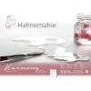 Hahnemühle akvarelliplokk Harmony Watercolour cold pressed 12 Sheets 300 g A4