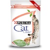 Purina Nestle kassitoit Cat Chow Sensitive Gig with Salmon and Zucchini in Sauce, 85g