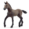 Schleich mängufiguur Foal Paso Peruano Horse Club