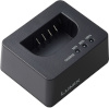 Panasonic akulaadija DMW-BTC15 (BLK22) USB-C