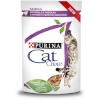 Purina Nestle kassitoit Cat Chow Hairball Control Chicken and Green Beans in Sauce, 85g