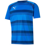 Puma T-särk meestele Teamvision Jersey sinine 704921 02 suurus L