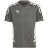 Adidas Teamwear T-särk lastele Condivo 22 Jersey hall HD2319 suurus 164cm