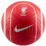 Nike jalgpall Liverpool FC Strike DJ9961-657 5