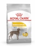 Royal Canin kuivtoit koerale CCN Dermacomfort Maxi, 12kg