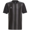 Adidas Teamwear T-särk lastele Striped 21 Jersey must-hall GN7634 suurus 140cm