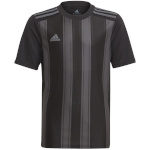 Adidas Teamwear T-särk lastele Striped 21 Jersey must-hall GN7634 suurus 140cm