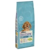 Purina Nestle kuivtoit koerale Dog Chow Puppy Chicken, 14kg