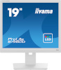 iiyama monitor ProLite B1980D-W5 19" SXGA LCD, valge