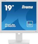 iiyama monitor ProLite B1980D-W5 19" SXGA LCD, valge