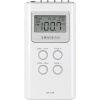 Sangean Raadio DT120W BLANCO valge