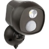 Rev LED Spotlight with Motion Detector must