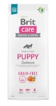 Brit kuivtoit koerale Dry Food for puppies and young Dogs of all breeds (4 weeks - 12 months),Brit Care Dog Grain-Free Puppy Salmon 12kg