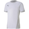 Puma T-särk meestele Teamgoal 23 Jersey valge 704171 04 suurus S