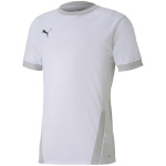 Puma T-särk meestele Teamgoal 23 Jersey valge 704171 04 suurus S