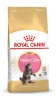 Royal Canin kuivtoit kassile Maine Coon Kitten Cats Dry Food 10kg