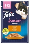 Purina Nestle kassitoit Felix Fanstastic Junior, 85g