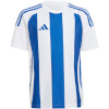 Adidas Teamwear T-särk lastele Striped 24 valge-sinine IW2134 suurus 164cm