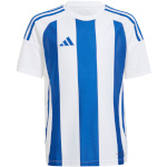 Adidas Teamwear T-särk lastele Striped 24 valge-sinine IW2134 suurus 164cm