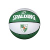 Spalding korvpall Zalgiris roheline/valge suurus 7