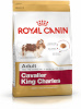 Royal Canin kuivtoit koerale Cavalier King Charles Adult, 1,5kg