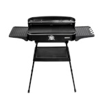 Gotie elektrigrill 2in1 GGE-2200