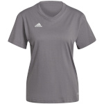 Adidas Teamwear T-särk naistele Entrada 22 Jersey hall HC0439 suurus 2XS