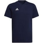 Adidas Teamwear T-särk lastele Entrada 22 Tee tumesinine HC0445 suurus 152cm