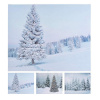 BGB Christmas Maal 50x1,5x40cm