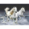 Norimpex teemantmaal Diamond Mosaic - White horses in the sea