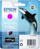 Epson tindikassett T7603 ere magenta 