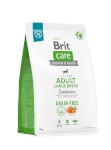 Brit kuivtoit koerale Dry Food for adult Dogs, large breeds - Care Grain-free Adult Salmon- 3kg