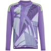 Adidas Teamwear T-särk Bramkarska lastele Tiro 24 Competition Long Sleeve Goalkeeper violetne IN0430 suurus 164cm