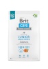 Brit kuivtoit koerale Dry Food for young Dog (3 months - 2 years), large breeds over 25kg - Care Dog Grain-Free Junior Large salmon 3kg