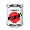 Titanlux Sünteetiline emailvärv 5808971 hall 750 ml Läikiv